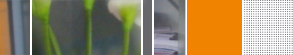 Bildwelt von Birgitta Weiss-Zöphel - Rechtsanwältin und Fachanwältin für Familienrecht